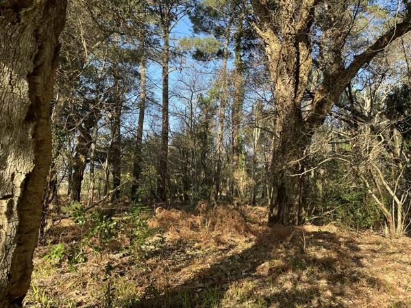 Terrain à vendre 295 000 € Vielle-Saint-Girons 1704 m² DPE