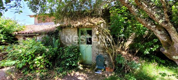 A vendre - Deux maisons - 125 m² - Lys-Haut-Layon - D5963