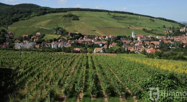 Neuf 3P Appt Haut de gamme à Barr