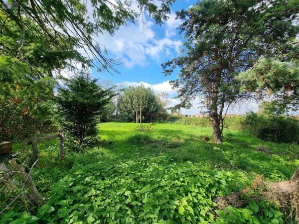 Fermette à vendre à Chenay-le-Châtel en Saône-et-Loire (71340), ref : 20333