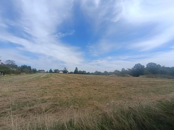 Terrain constructible rare sur le secteur de Cosne sur Loire