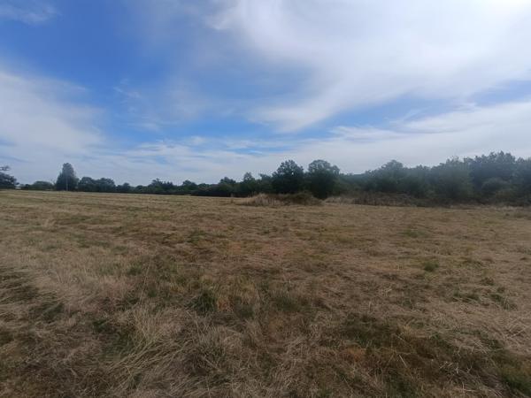 Terrain constructible rare sur le secteur de Cosne sur Loire