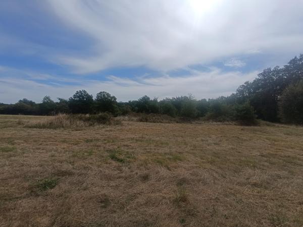 Terrain constructible rare sur le secteur de Cosne sur Loire