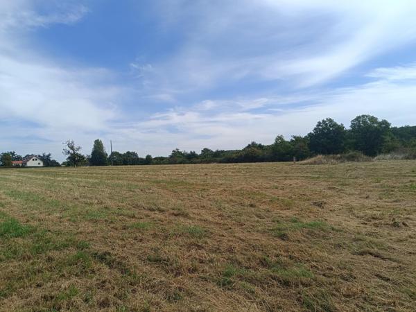 Terrain constructible rare sur le secteur de Cosne sur Loire