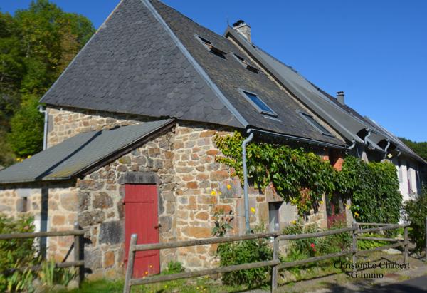 Vente / Maison en pierre