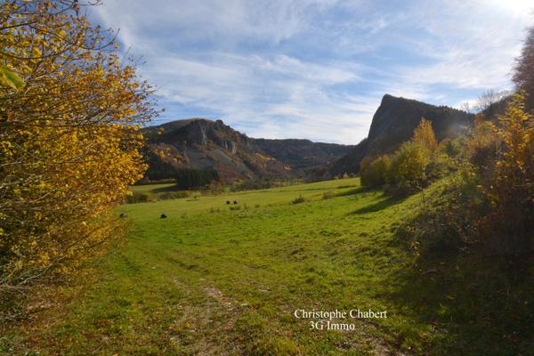 Vente / Maison en pierre