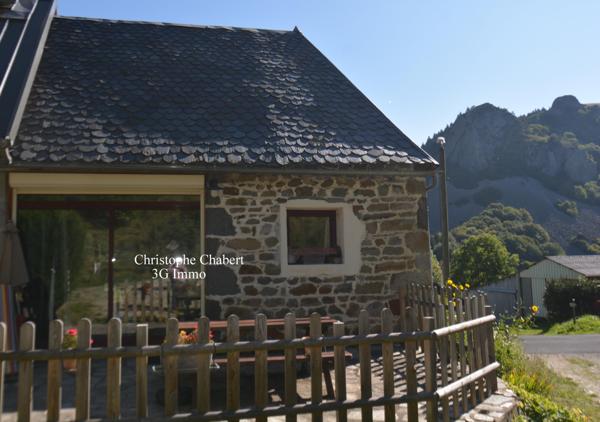 Vente / Maison en pierre