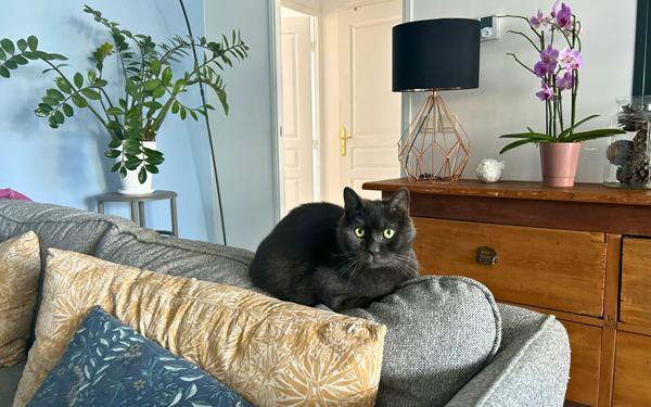 Appartement à vendre    5 pièces • 116,87 m2 Lyon 9