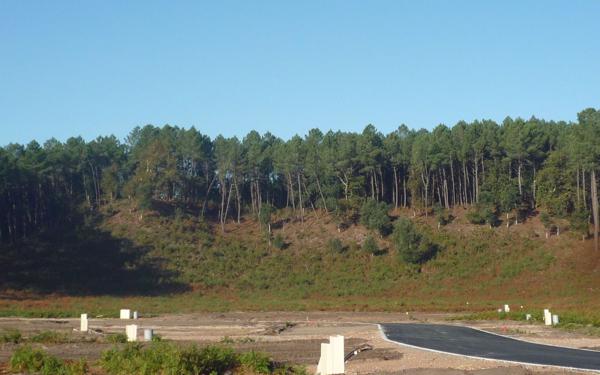 Terrain à vendre    Vielle-Saint-Girons