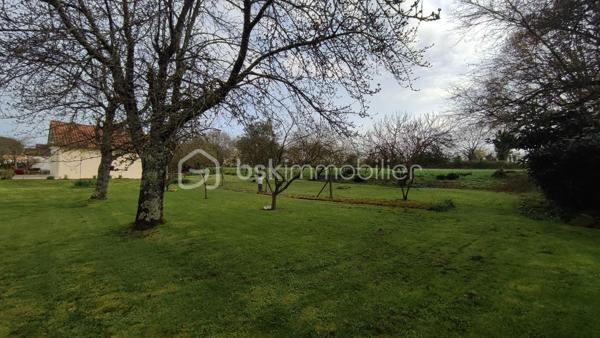 Terrain de 977 m²