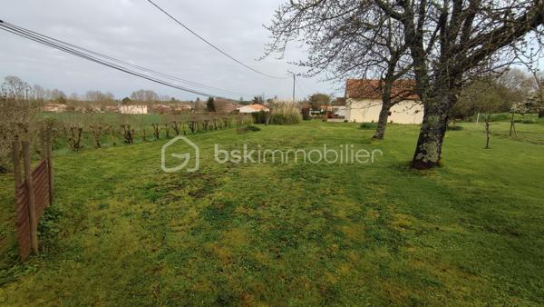 Terrain de 977 m²