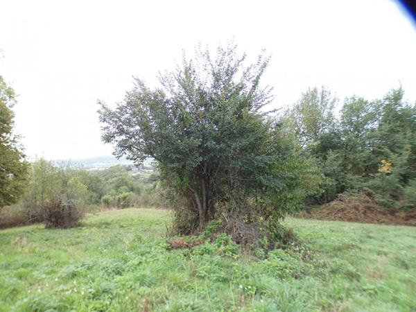 Terrain sur la commune d'Ussac 2471 m2