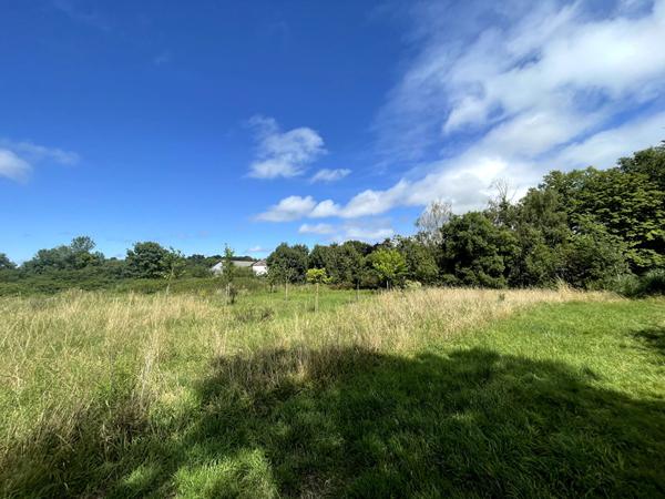 Terrain Chaumes En Retz de 533 m²