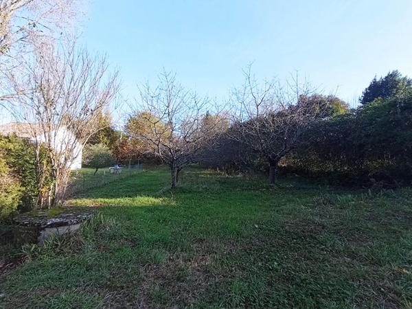 Terrain de loisirs avec verger et cabanon