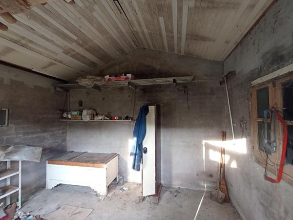 Terrain de loisirs avec verger et cabanon