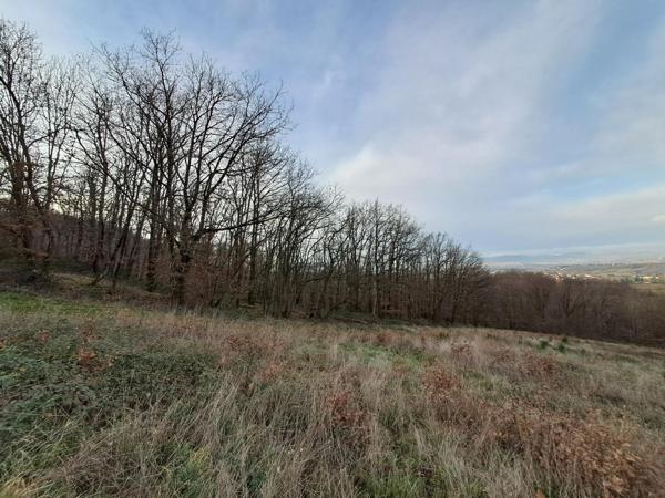 Terrain de loisirs - Chasselay