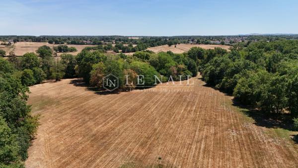 Château du XIXe siècle au cœur de 13 hectares avec dépendances et potentiel évènementiel dans l'Alli