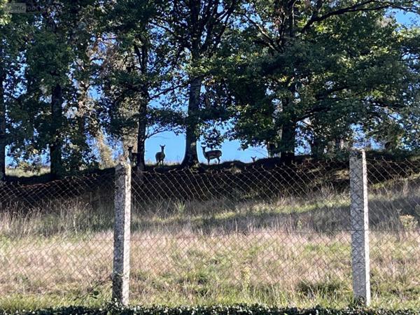 Maison individuelle à vendre à Ydes dans le Cantal (15210), ref : 93T-15029