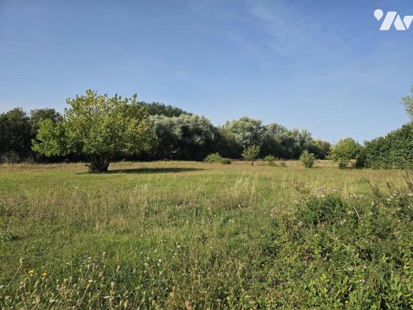 Rare - terrain à bâtir 