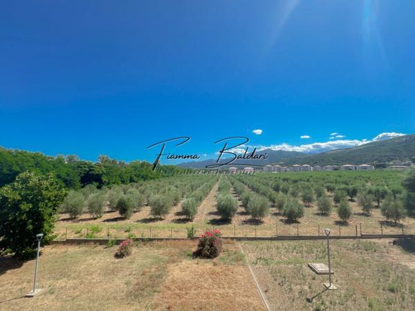À louer Appartement T2 de 46,25m², Lucciana, Haute-Corse (20)