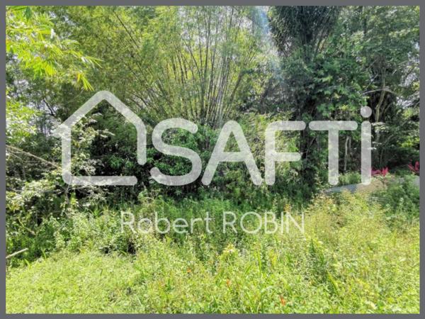 Terrain à bâtir de 3684 m²