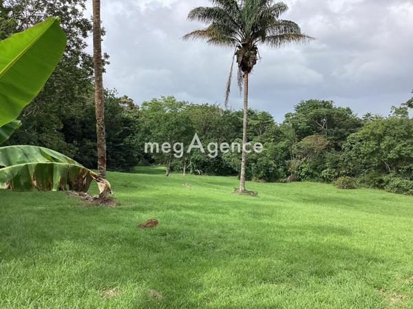 Terrain à MATOURY, 97351 - 11100m²