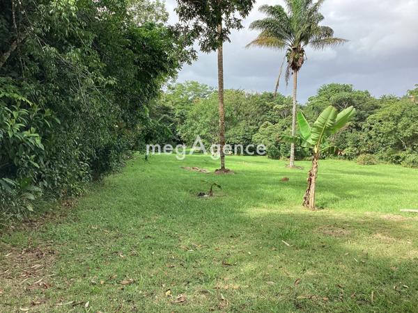 Terrain à MATOURY, 97351 - 11100m²