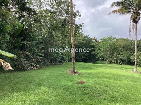 Terrain à MATOURY, 97351 - 11100m²