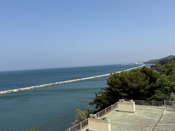 APPARTEMENT DE TYPE 3 - VUE ETANG