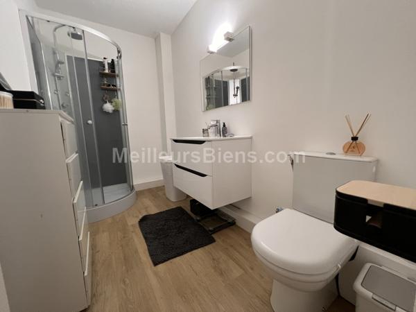 T2 -  RENOVE 2021 - LOCATAIRE EN PLACE 550 €-