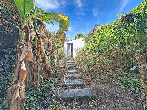 Maison à vendre à DRAIN avec 3 chambres, jardin et dépendances.