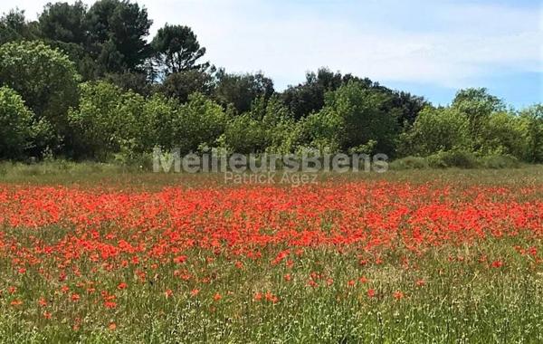 FABREGUES dans l'Hérault lumineuse et calme villa de 176 m² sur 1200m² avec grand garage et piscine