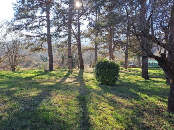 Maison 3 chambres, garage, studio, terrain 2000M²