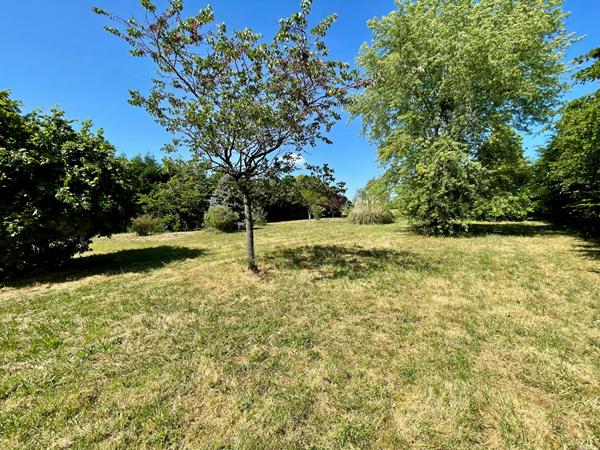Maison de caractère à rénovée - LE CONTROIS EN SOLOGNE -130 m² - Terrain arboré 5 460 m²