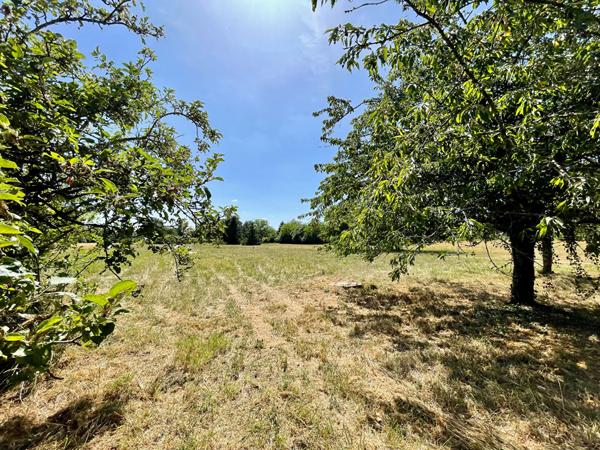 Maison de caractère à rénovée - LE CONTROIS EN SOLOGNE -130 m² - Terrain arboré 5 460 m²