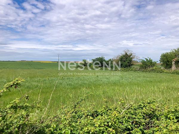 A VENDRE - Terrain constructible sur la commune de MONTREUIL