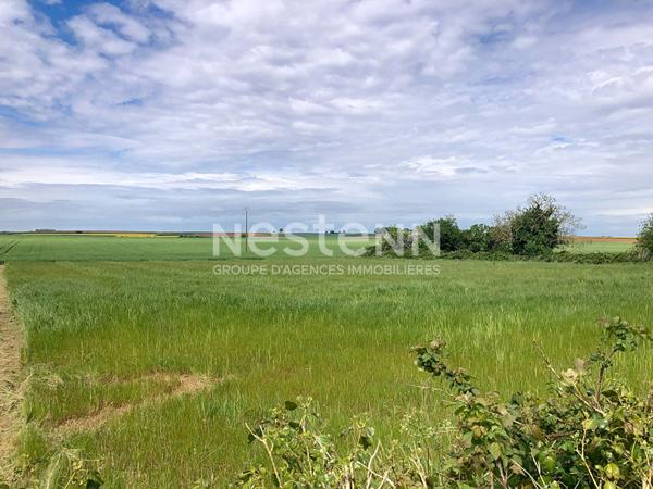 A VENDRE - Terrain constructible sur la commune de MONTREUIL