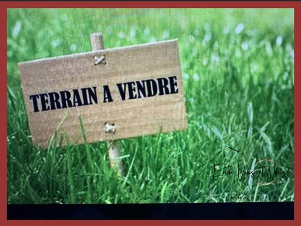 TERRAIN AGRICOLE DE  42989 m2