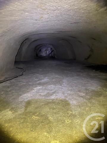 Maison à vendre  1 pièce - 595 m2 VENDOME - 41