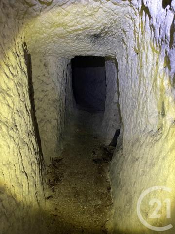 Maison à vendre  1 pièce - 595 m2 VENDOME - 41