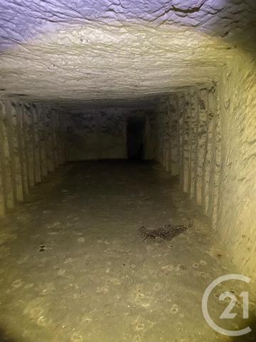 Maison à vendre  1 pièce - 595 m2 VENDOME - 41