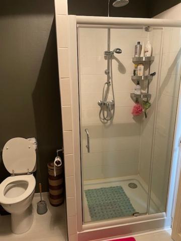 Maison de ville , 4 chambres quartier Victor Hugo