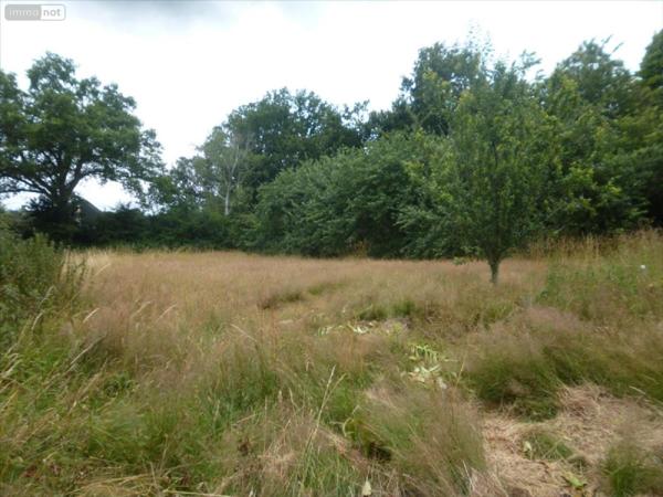 Terrain à Batir à vendre à Mayenne en Mayenne (53100), ref : 53075-FC 113