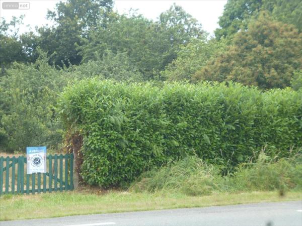 Terrain à Batir à vendre à Mayenne en Mayenne (53100), ref : 53075-FC 113