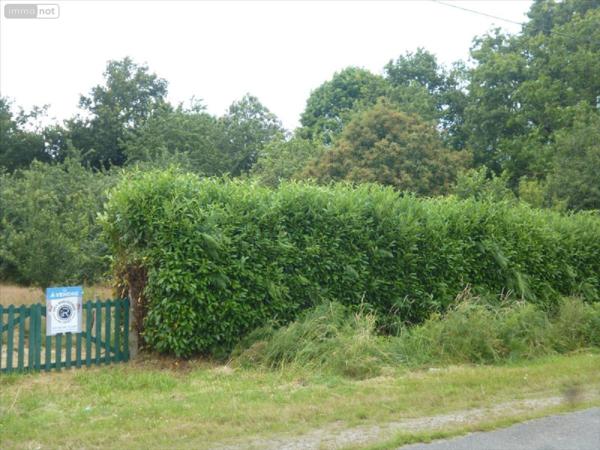 Terrain à Batir à vendre à Mayenne en Mayenne (53100), ref : 53075-FC 113