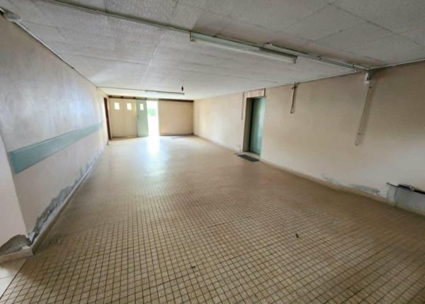 Vente / Maison à Vouneuil-sur-Vienne (86210)
