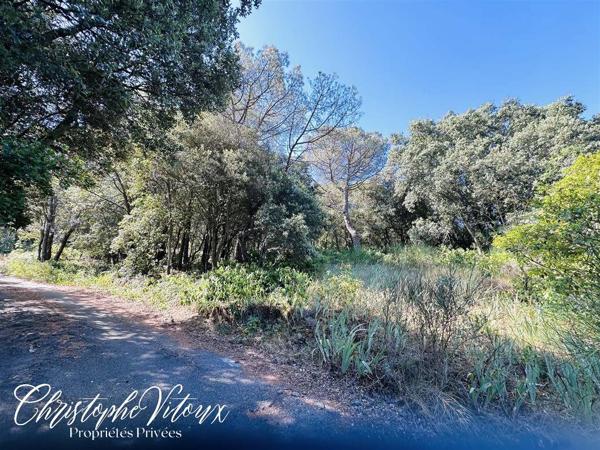 Terrain viabilisé - 2500m2 - 11570 PALAJA