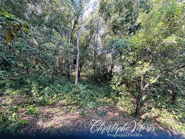 Terrain viabilisé - 2500m2 - 11570 PALAJA