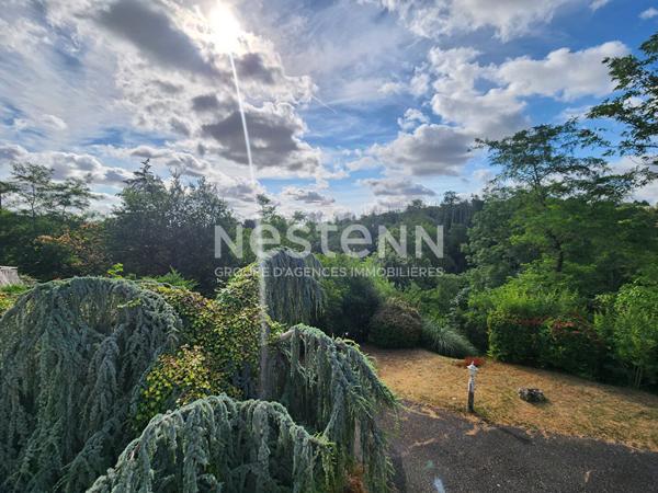 CASTANET TOLOSAN Maison familiale à vendre - magnifique vue - terrasse- havre de paix - à rafraîchir