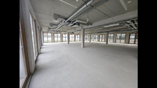 Bureau 12 pièces - 2654 m²